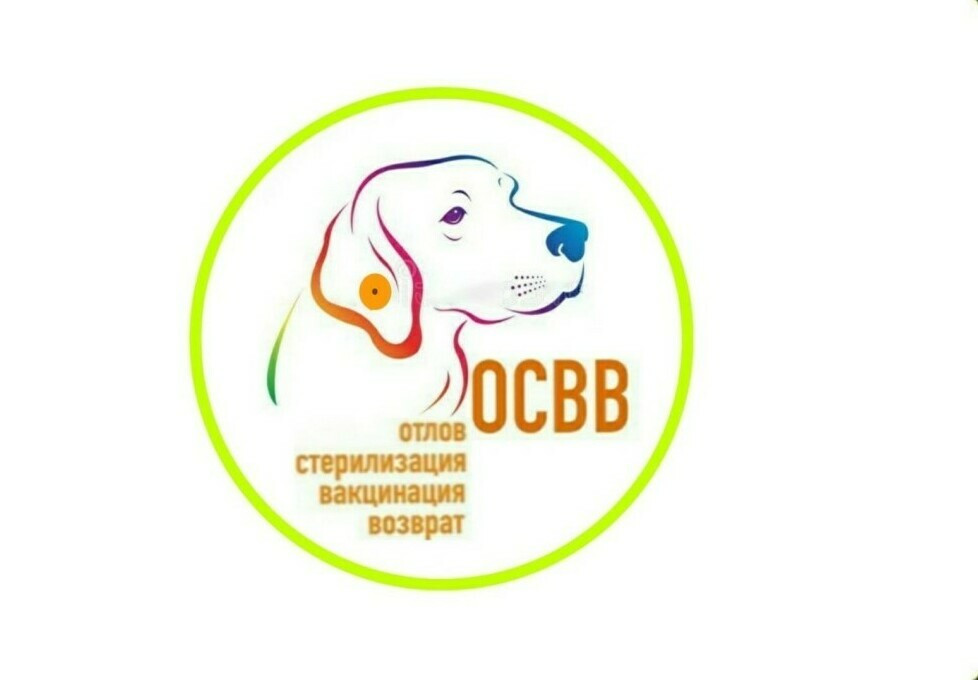 ОСВВ (Отлов - Стерилизация - Вакцинация - Возврат) это эффективный метод снижения численности безнадзорных животных.